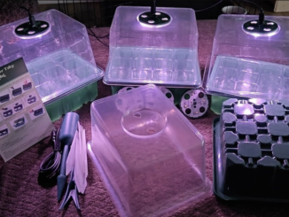 Seed Starter Kit with Grow Lights